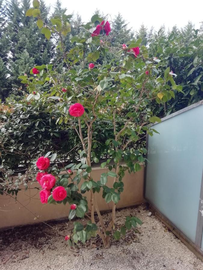 بينيفنتو B&B Sant Ilario المظهر الخارجي الصورة